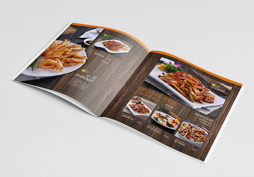 东莞企石画册设计_企石广告公司_宣传画册设计制作