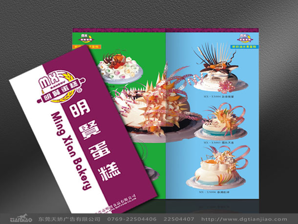 东莞专业食品画册设计