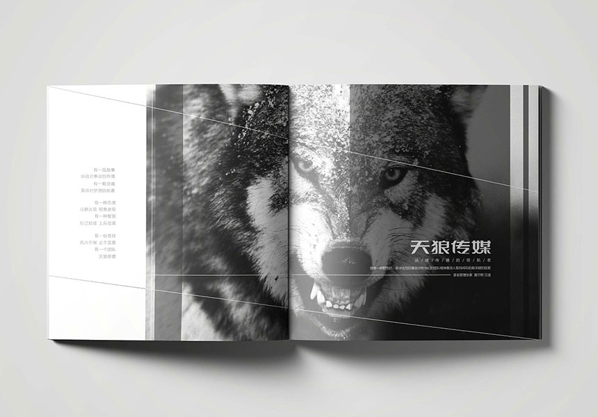 深圳画册设计的四个步骤告诉我们做画册要找专业的公司