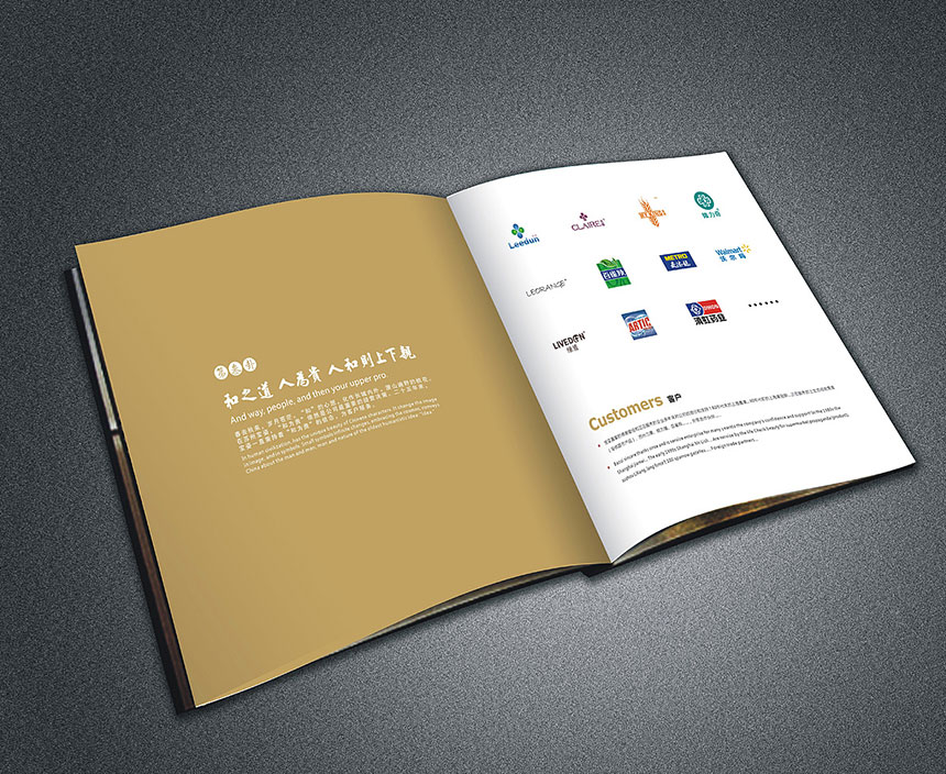 重庆设计公司_最大程度发挥画册设计的市场作用